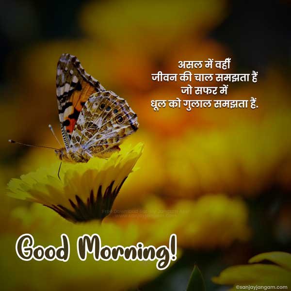 Good Morning Hindi Pics Wishes Whatsapp