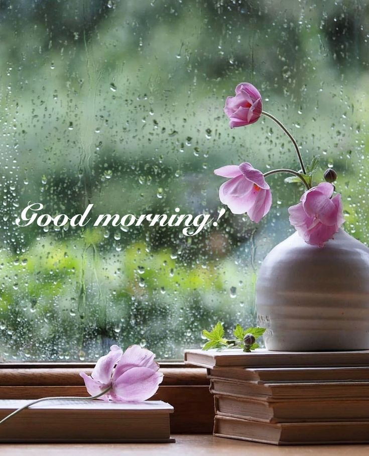 Good Morning Rainy Cheerful Peaceful