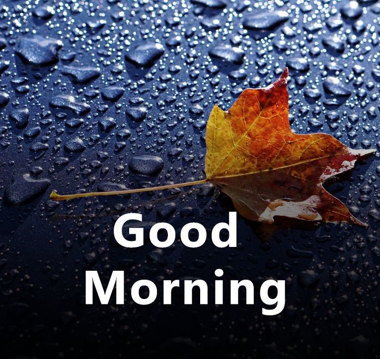 Good Morning Rainy Graphics Positive