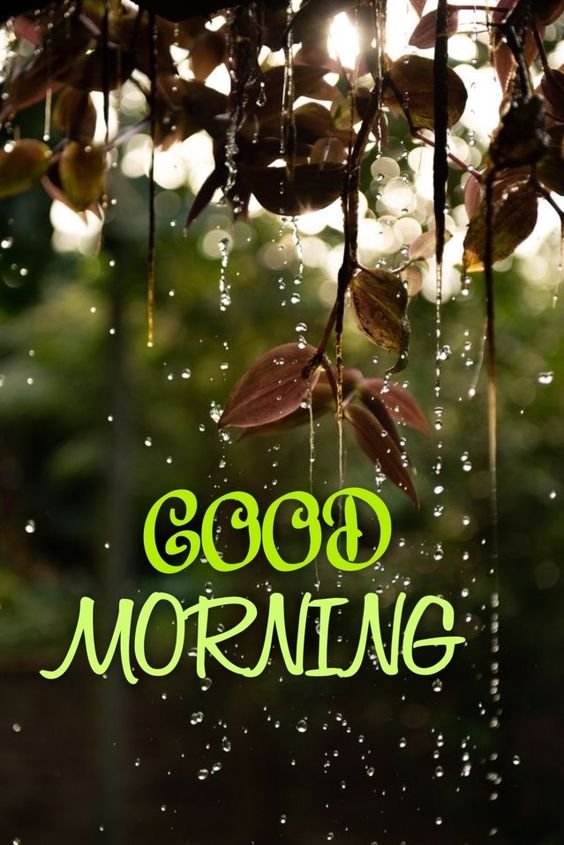 Good Morning Rainy Joyful Logo Free