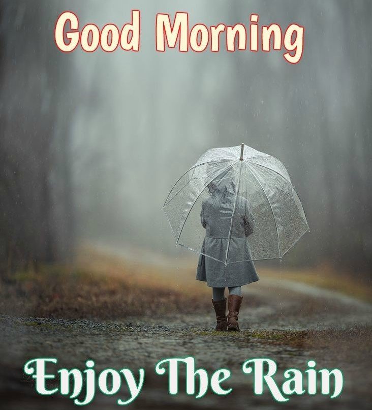 Good Morning Rainy Logo Free Creative