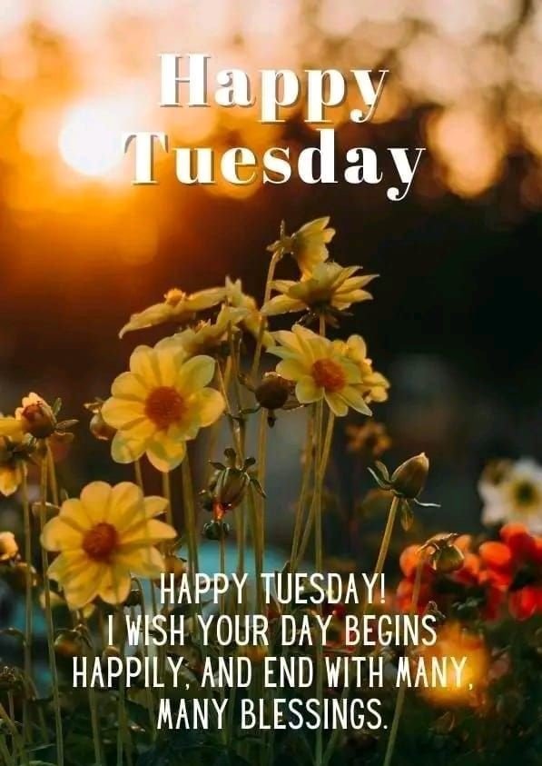 Tuesday Morning Wishes - Wish Morning, tuesday - hpnonline.org