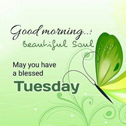 English Good Morning Tuesday Positive Quotes n Text Messages - Good Morning  Wishes and Images