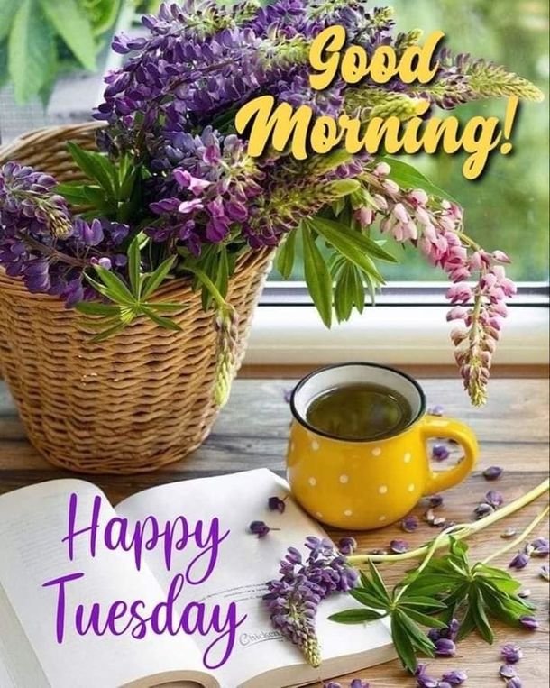 Good Morning Tuesday Without Logo Trademark