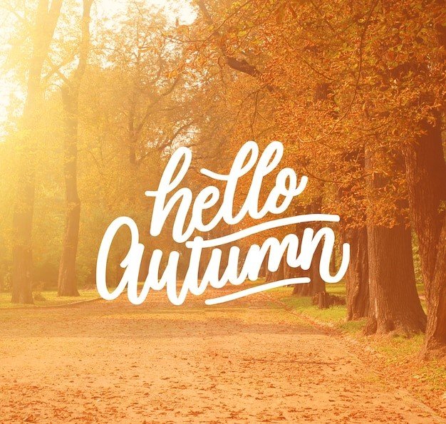 Good Morning Autumn Fall Harvest 2023 Wishes Whatsapp HD Smiling