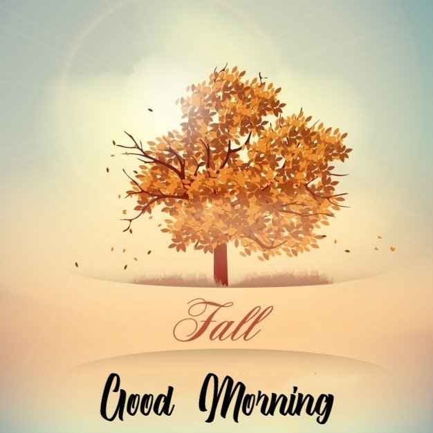 Good Morning Autumn Fall Harvest 2023 Wishes Whatsapp Without Logo Happy