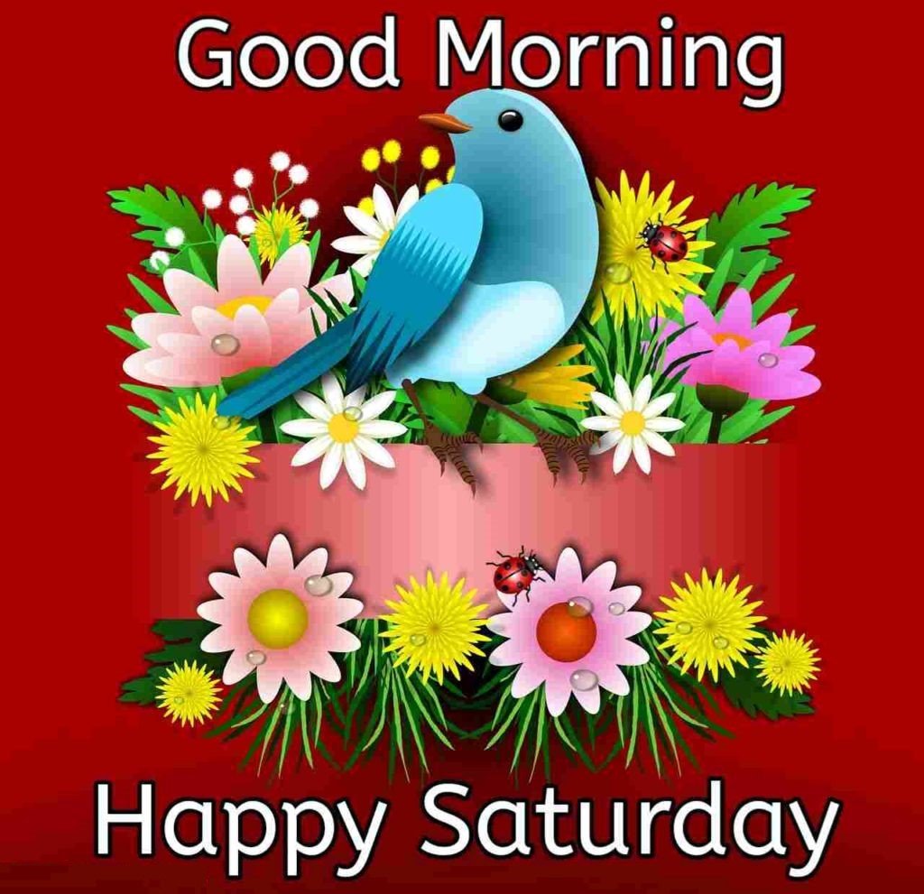 Good Morning Happy N Funny Saturday Wishes Famous Background
