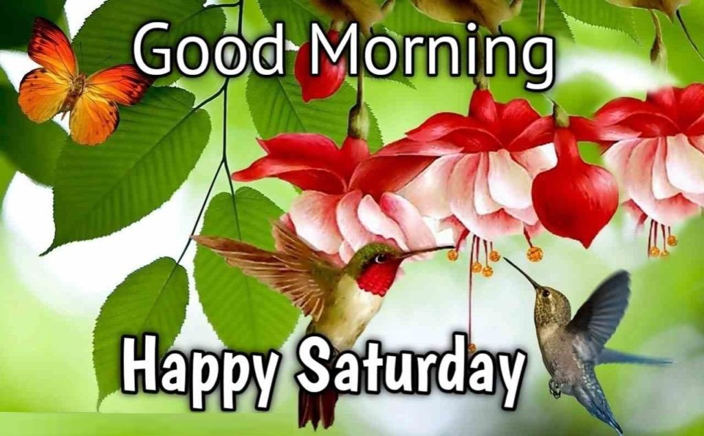 Good Morning Happy N Funny Saturday Wishes Nice Pics