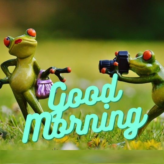 Good Morning Happy N Funny Saturday Wishes Pictures Sharechat