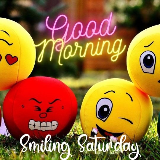 Good Morning Happy N Funny Saturday Wishes Rare Sharechat