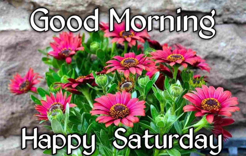 Good Morning Happy N Funny Saturday Wishes Smiling Best