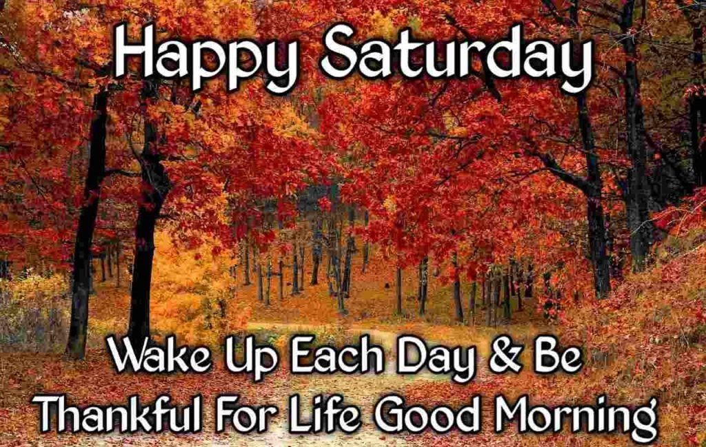 Good Morning Happy N Funny Saturday Wishes Whatsapp Wishes