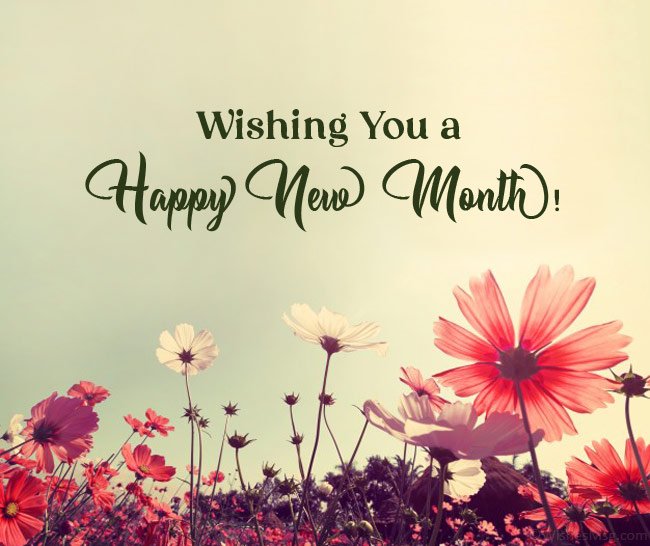 Good Morning Happy New Month 2023 Wishes Whatsapp English Awesome