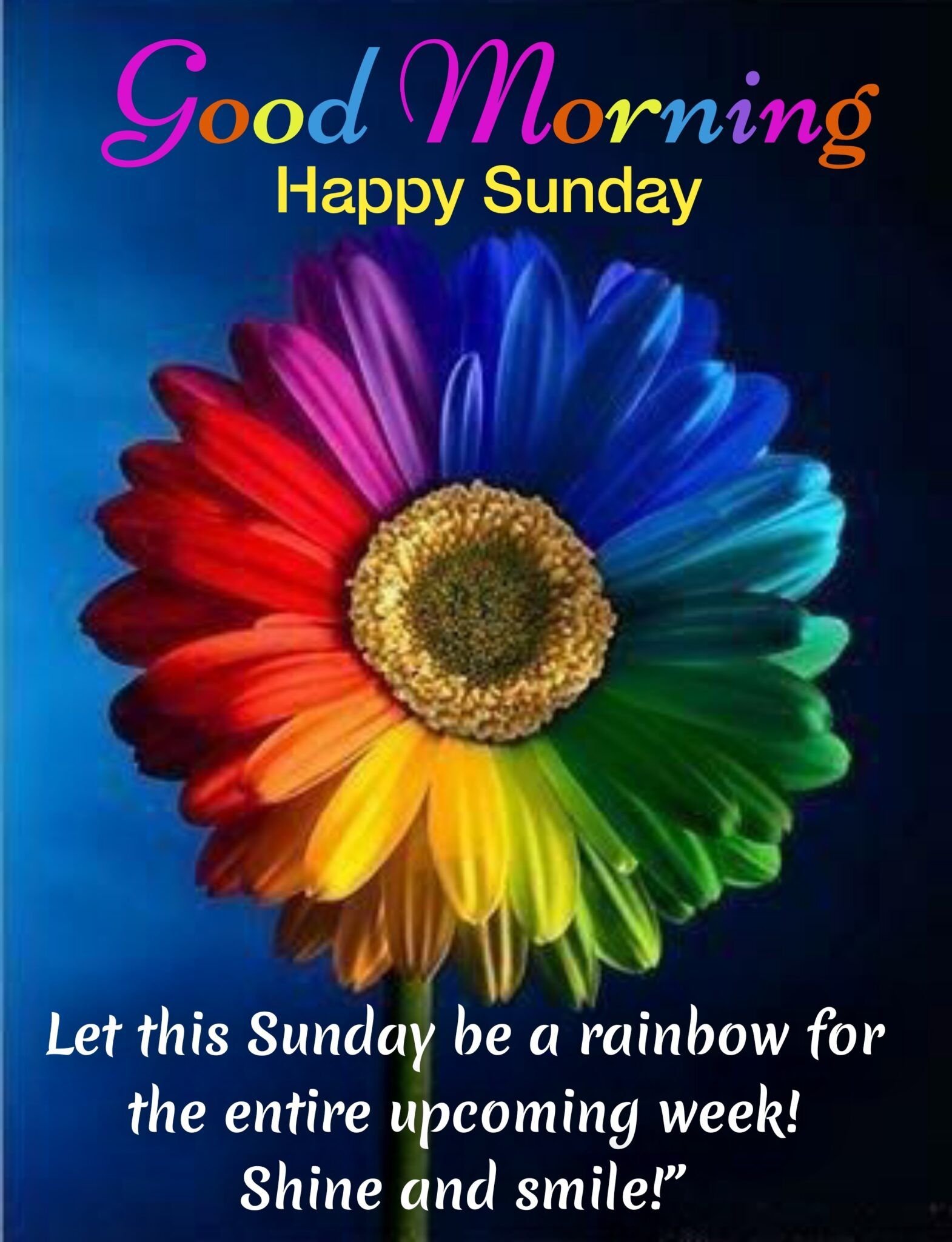 Good Morning Happy Sunday Wishes Blissful Symbol