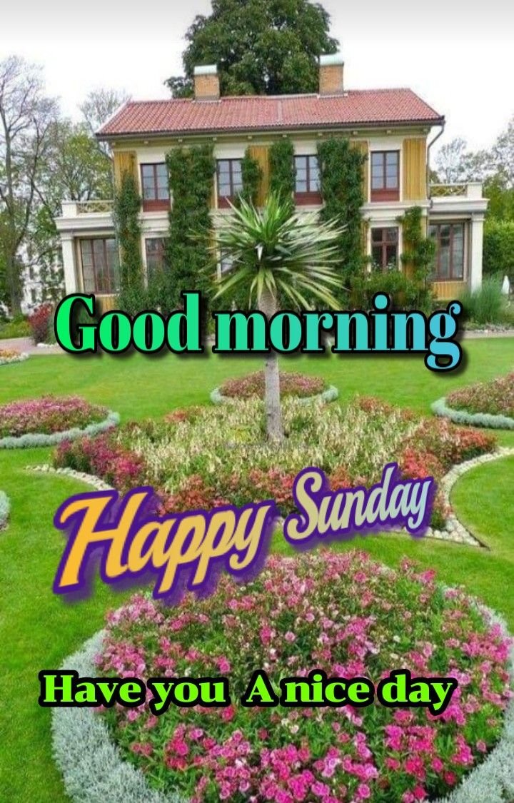 Good Morning Happy Sunday Wishes Download Ancient