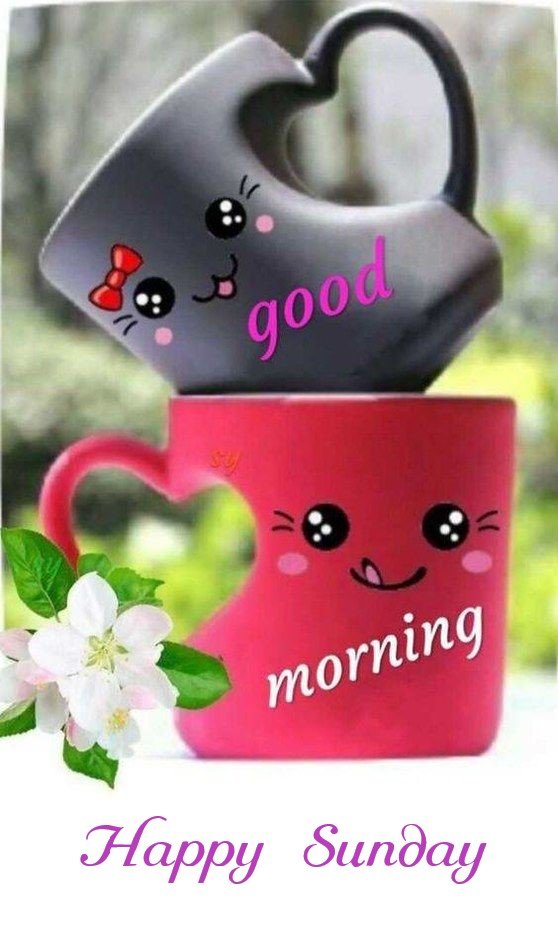 Good Morning Happy Sunday Wishes English HD