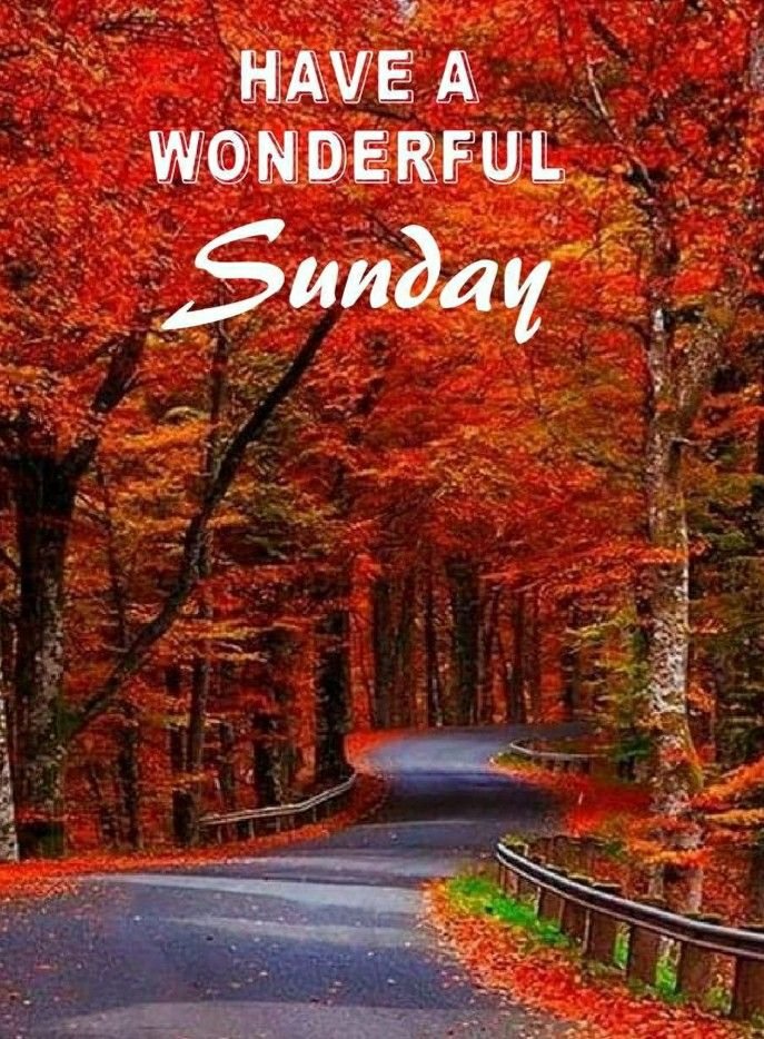 Good Morning Happy Sunday Wishes Full Pictures