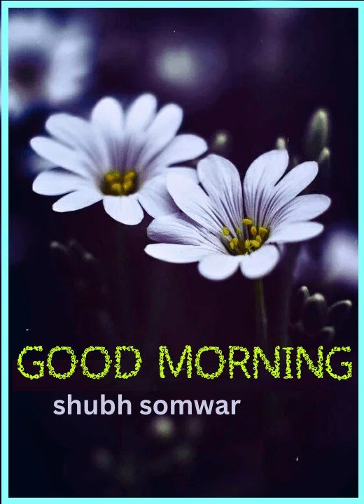 Good Morning Shubh Somwar Image Stunning PicOfTheDay