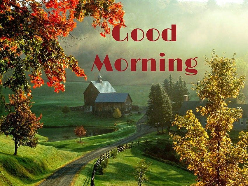 Unique Good Morning Nature 2023 Images Whatsapp Happy Stamp