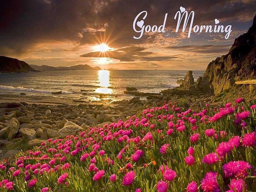 Unique Good Morning Nature 2023 Images Whatsapp Wisdom Blissful