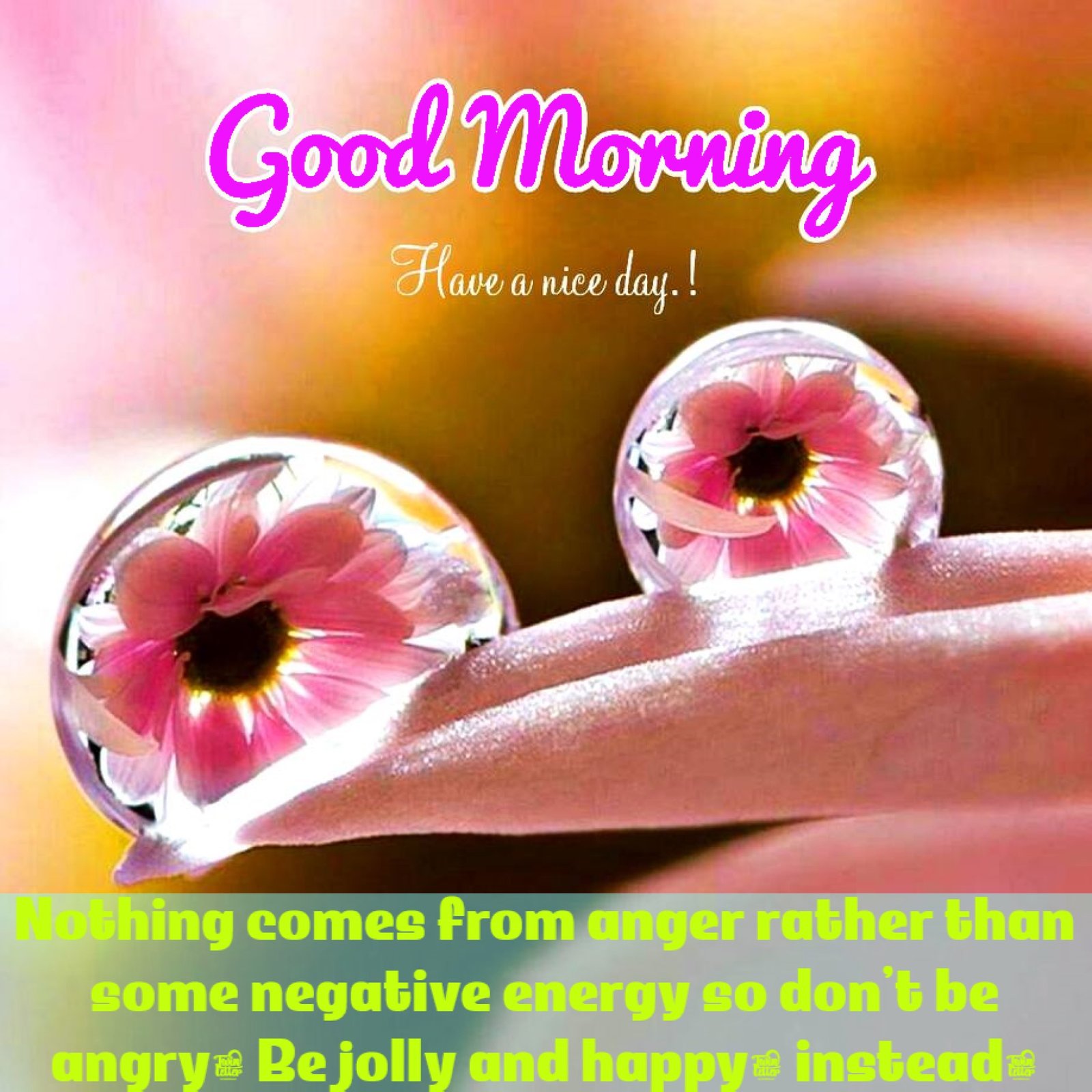 New Style Good Morning Angry With Him Quotes 2023 Images Whatsapp Stamp Collection New Style Good Morning Angry With Him Quotes 2023 Images Whatsapp Stamp Collection