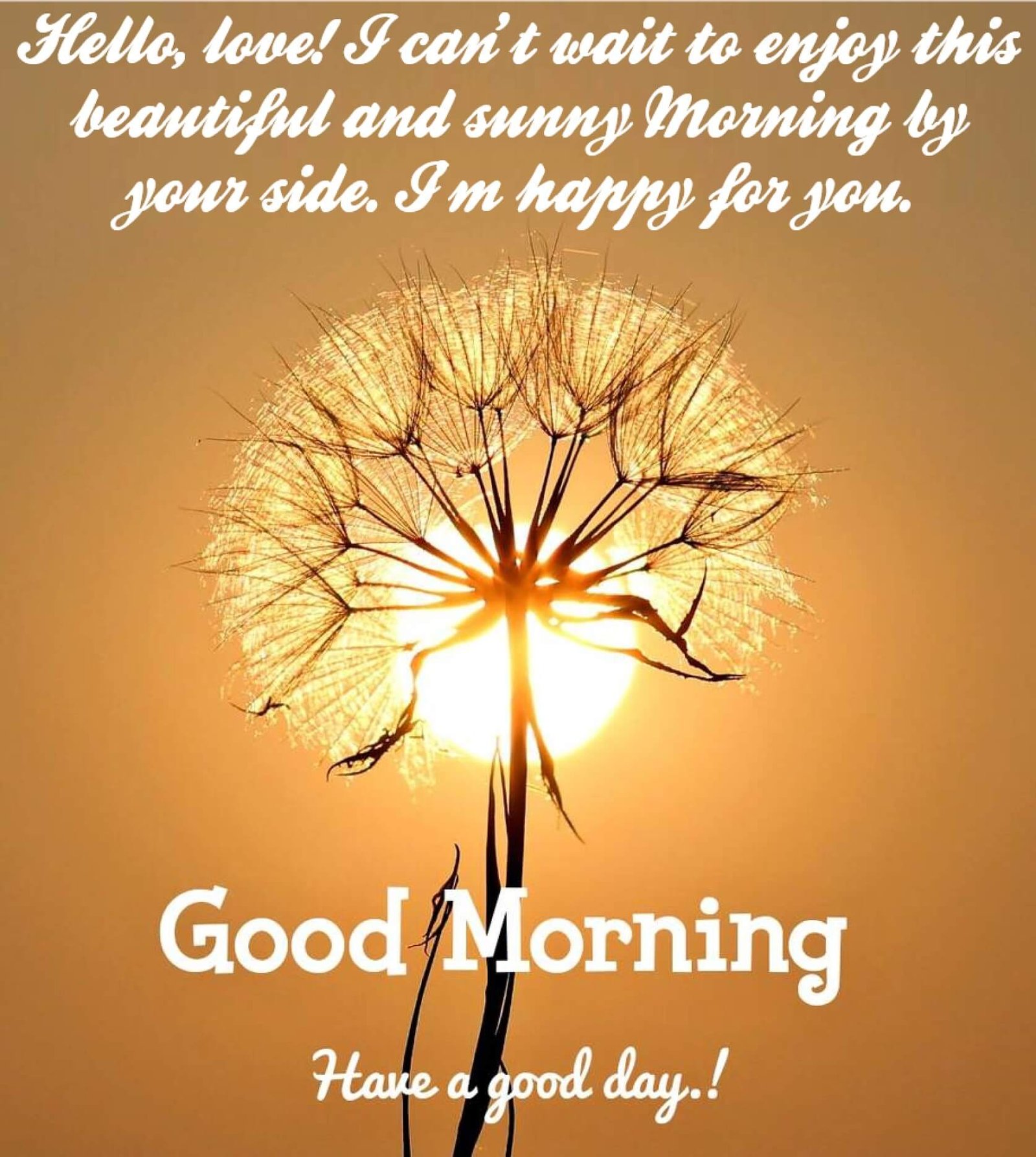 New Style Good Morning Happy For Him Quotes 2023 Images Whatsapp Download Images