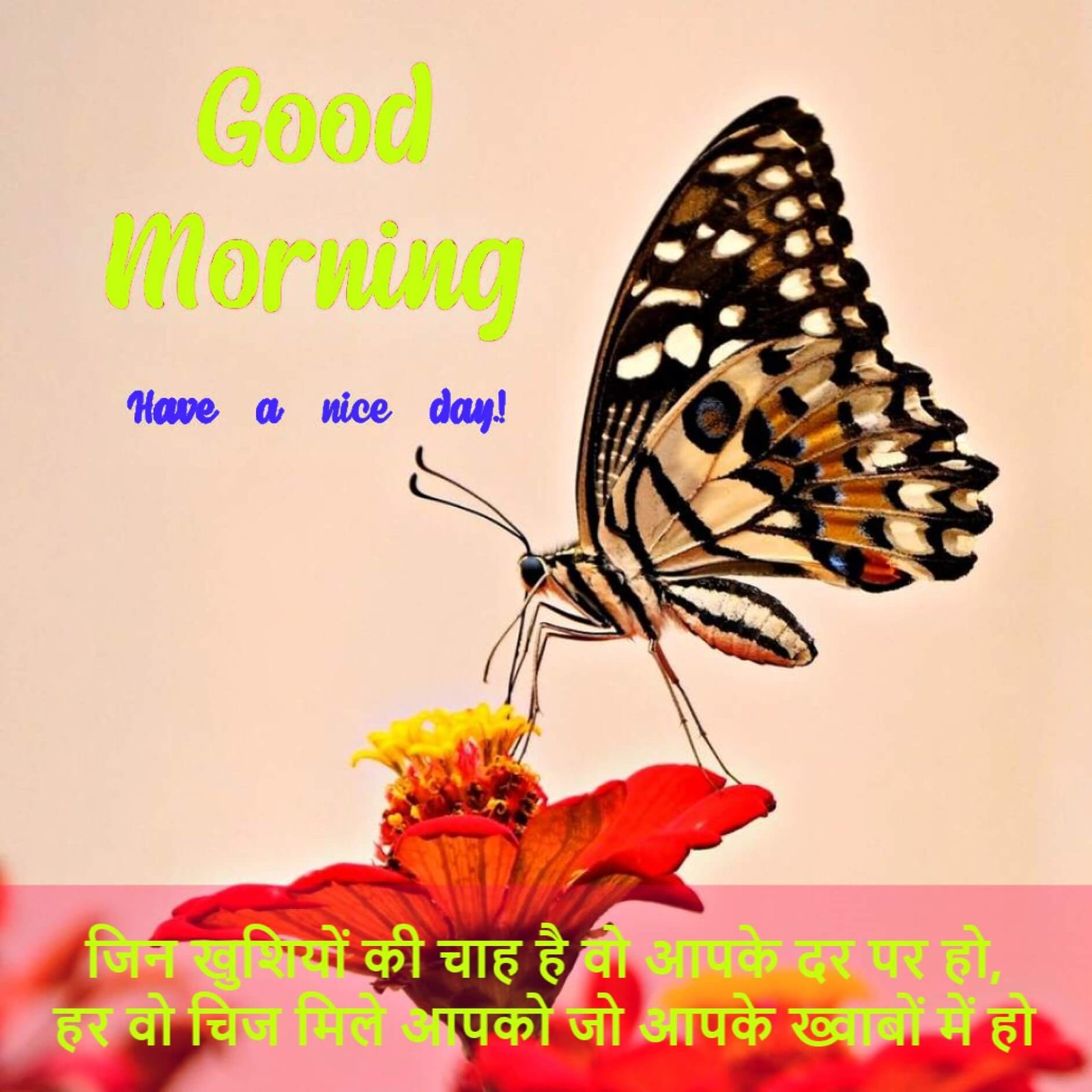 New Style Good Morning Happy For Him Quotes 2023 Images Whatsapp Greetings Rare