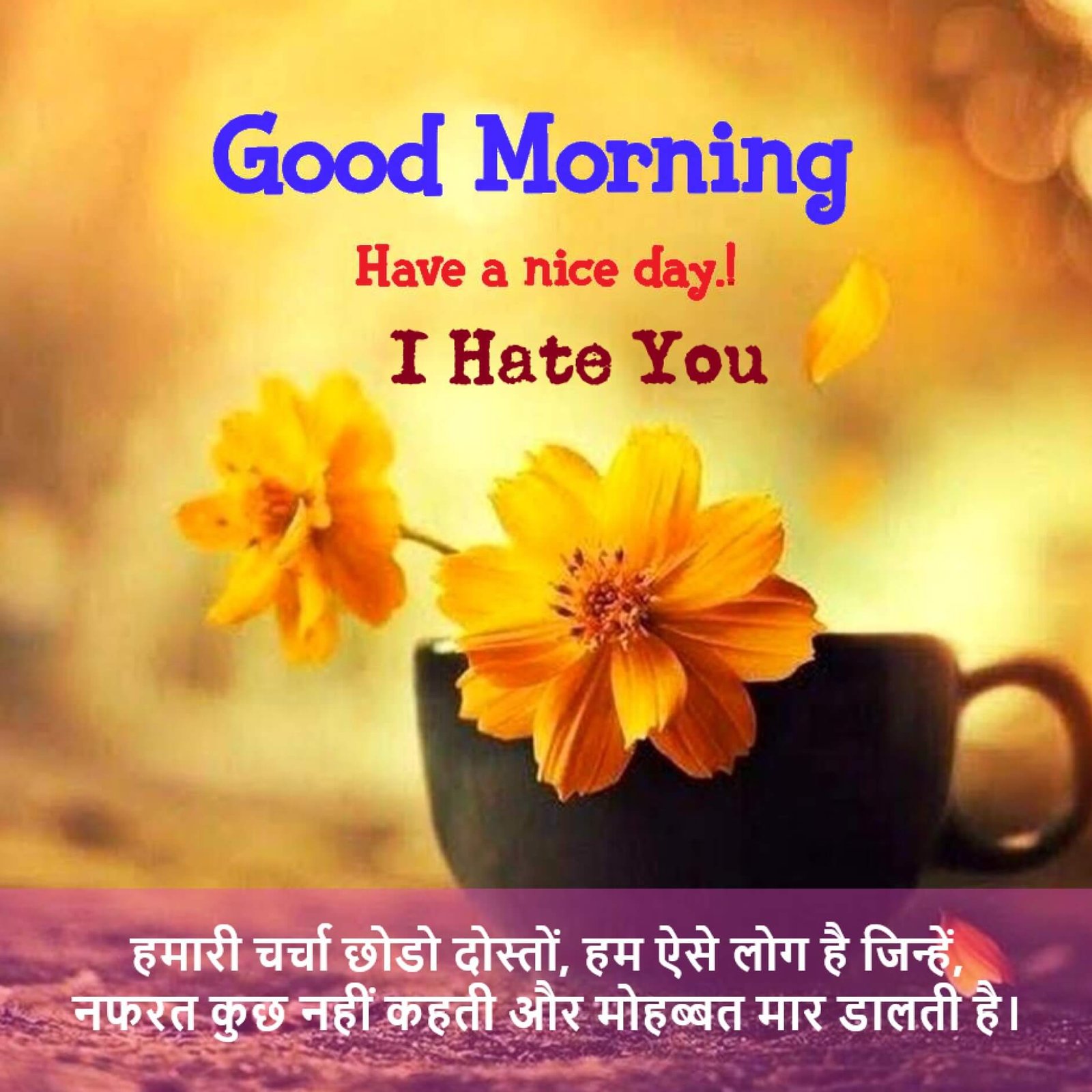 New Style Good Morning I Hate You Quotes 2023 Images Whatsapp Colorful Stamp