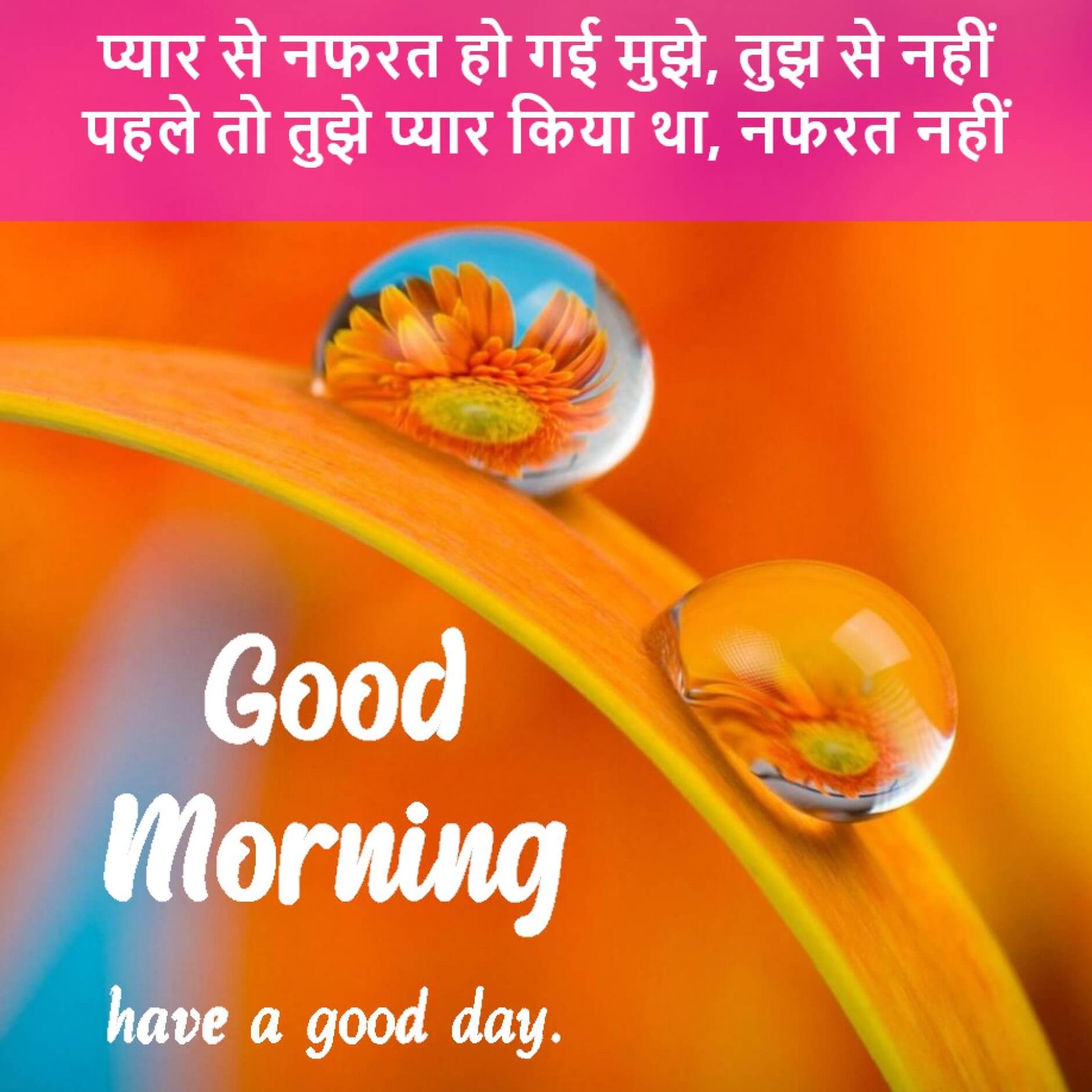 New Style Good Morning I Hate You Quotes 2023 Images Whatsapp Relation Different