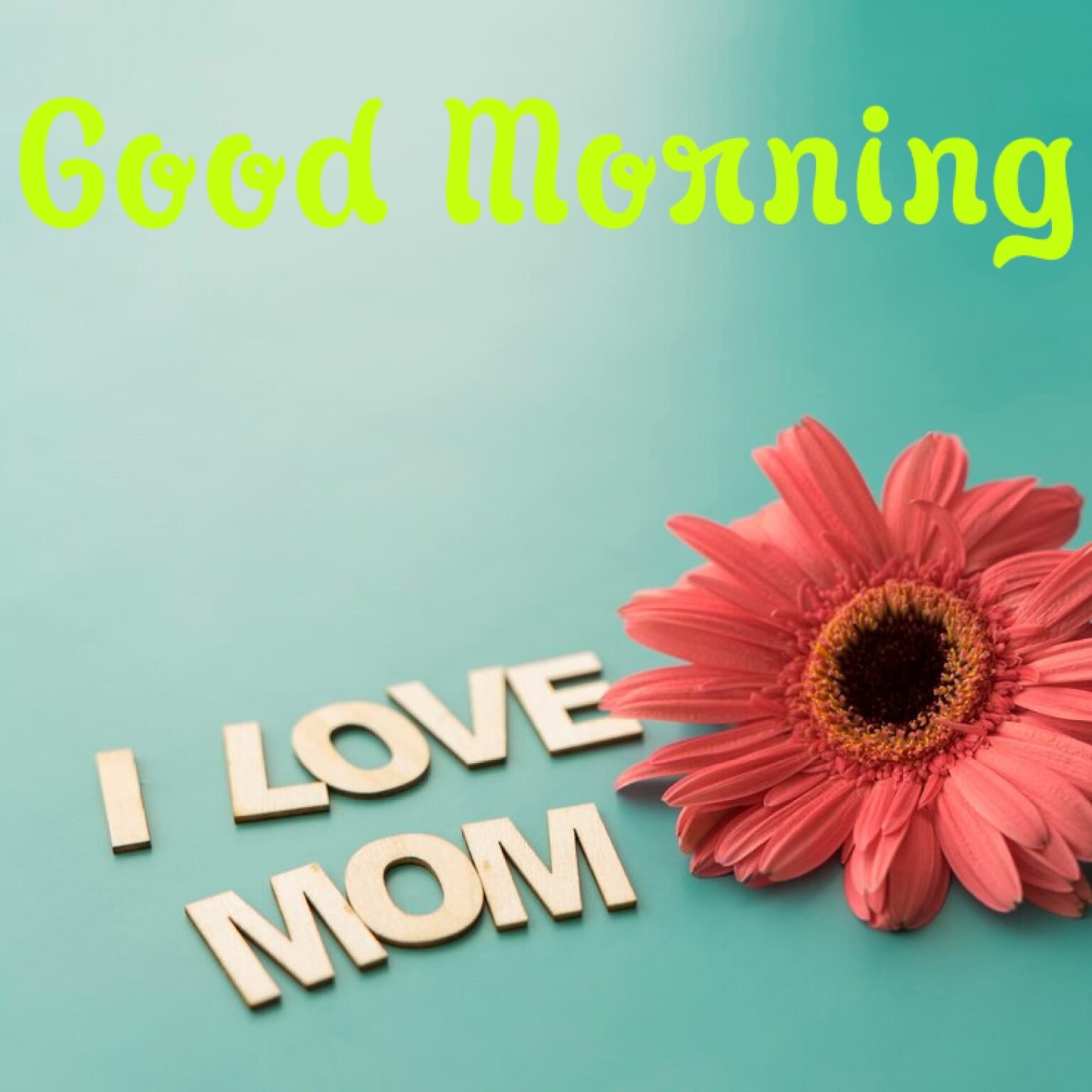 Good Morning Mom Whatsapp Hindi Quotes Wishes Shayari 4K Images - Good ...