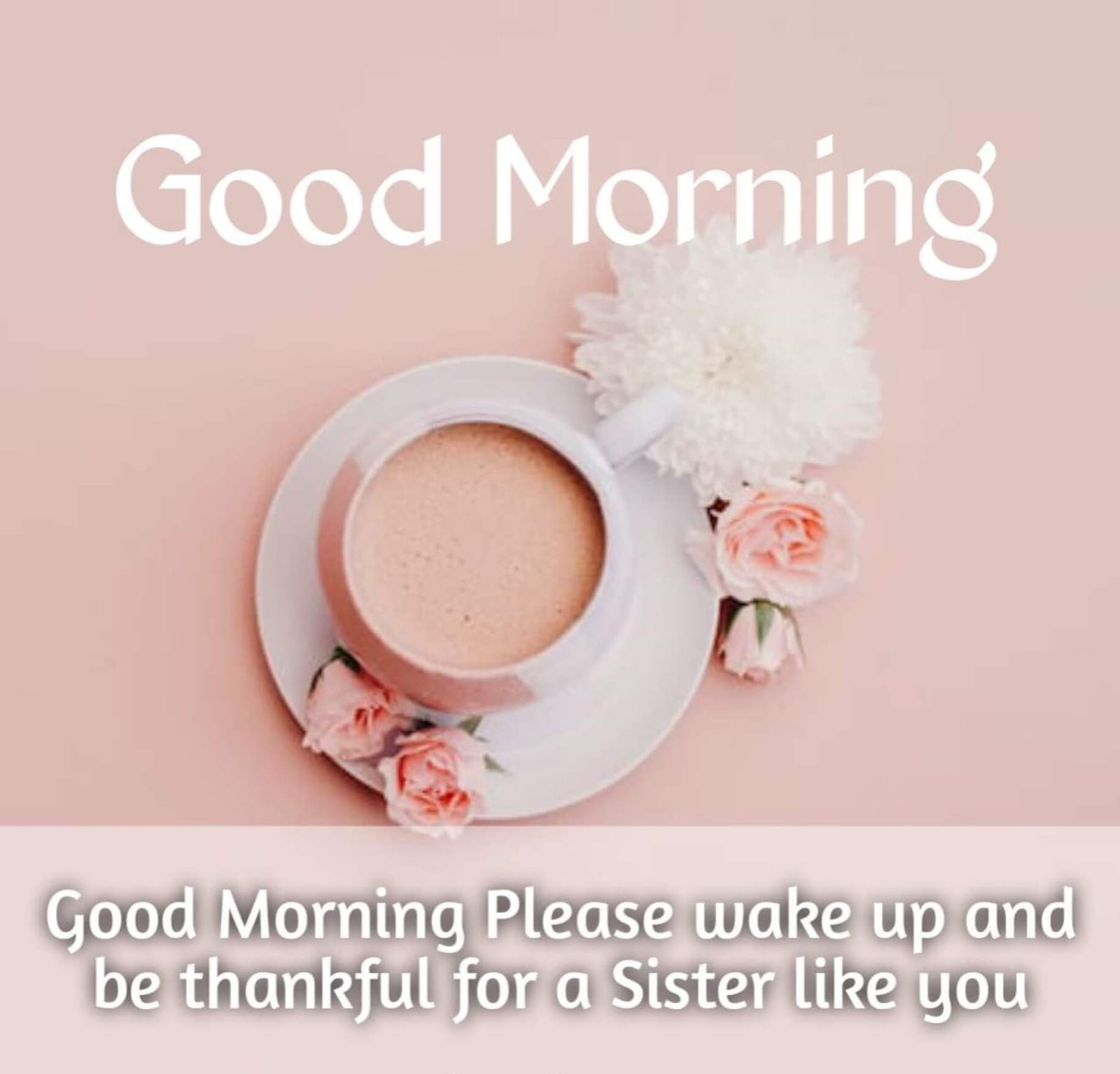 New Style Good Morning Sister Quotes 2023 Images Whatsapp Instagram Lovely