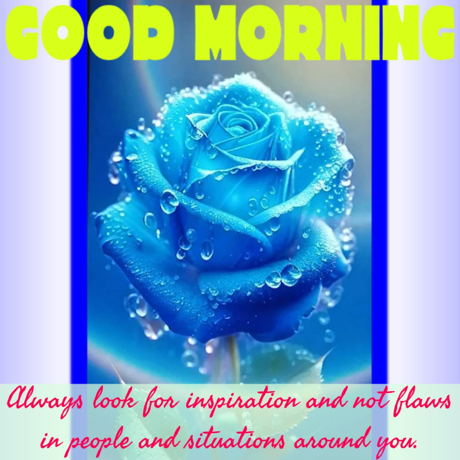 New Style Good Morning Blue Roses Quotes 2024 Images Whatsapp 4K High Quality