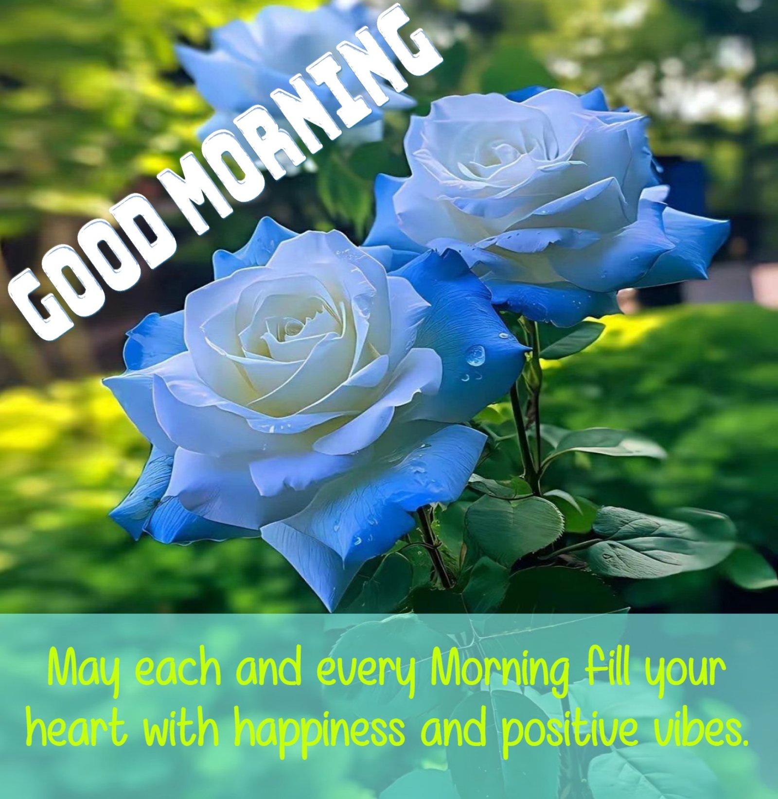 New Style Good Morning Blue Roses Quotes 2024 Images Whatsapp Cheerful Status
