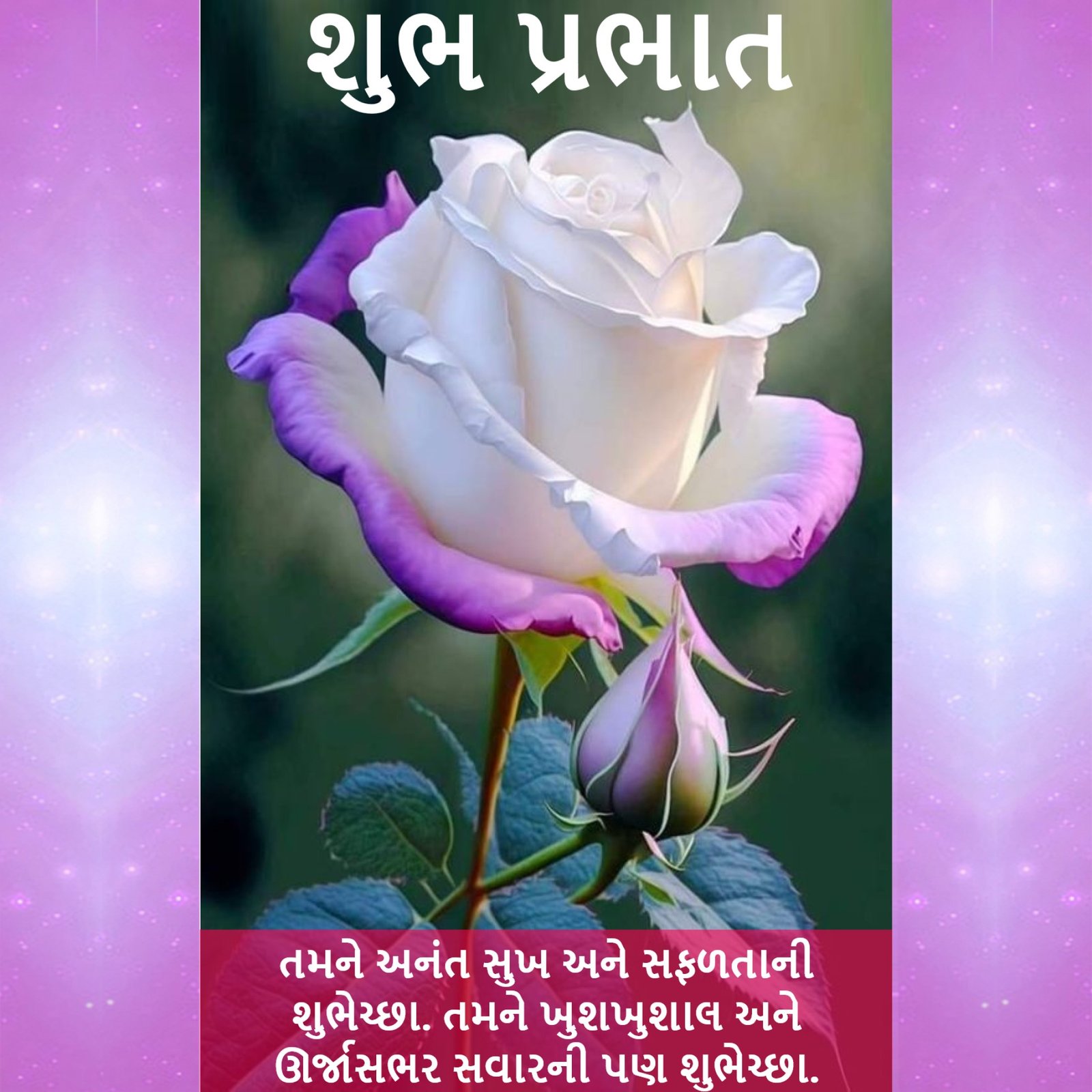 New Style Good Morning High Quality Roses Flowers Quotes 2024 Images Whatsapp Fresh Awesome