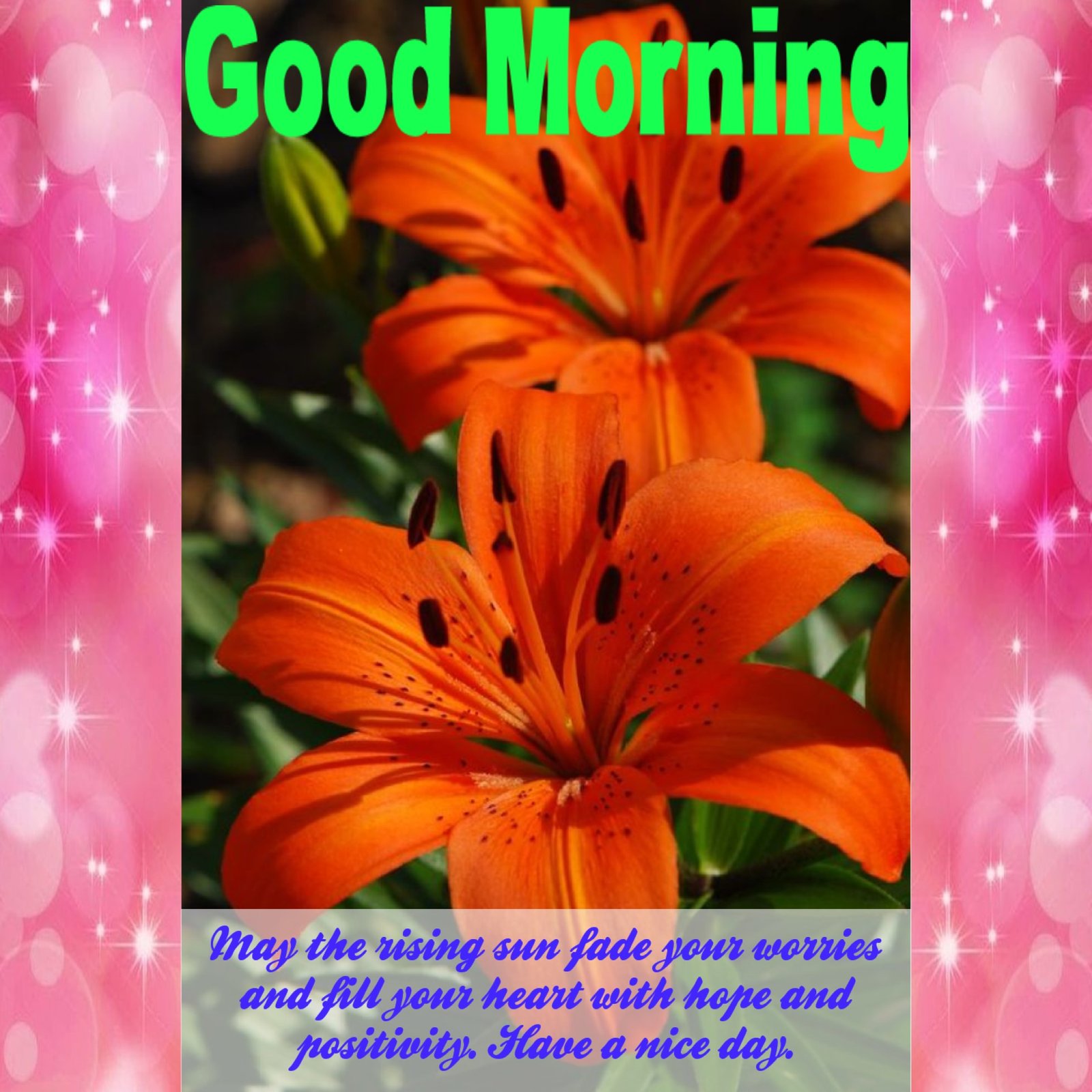 New Style Good Morning Lily Flowers Quotes 2024 Images Whatsapp Send Beautiful