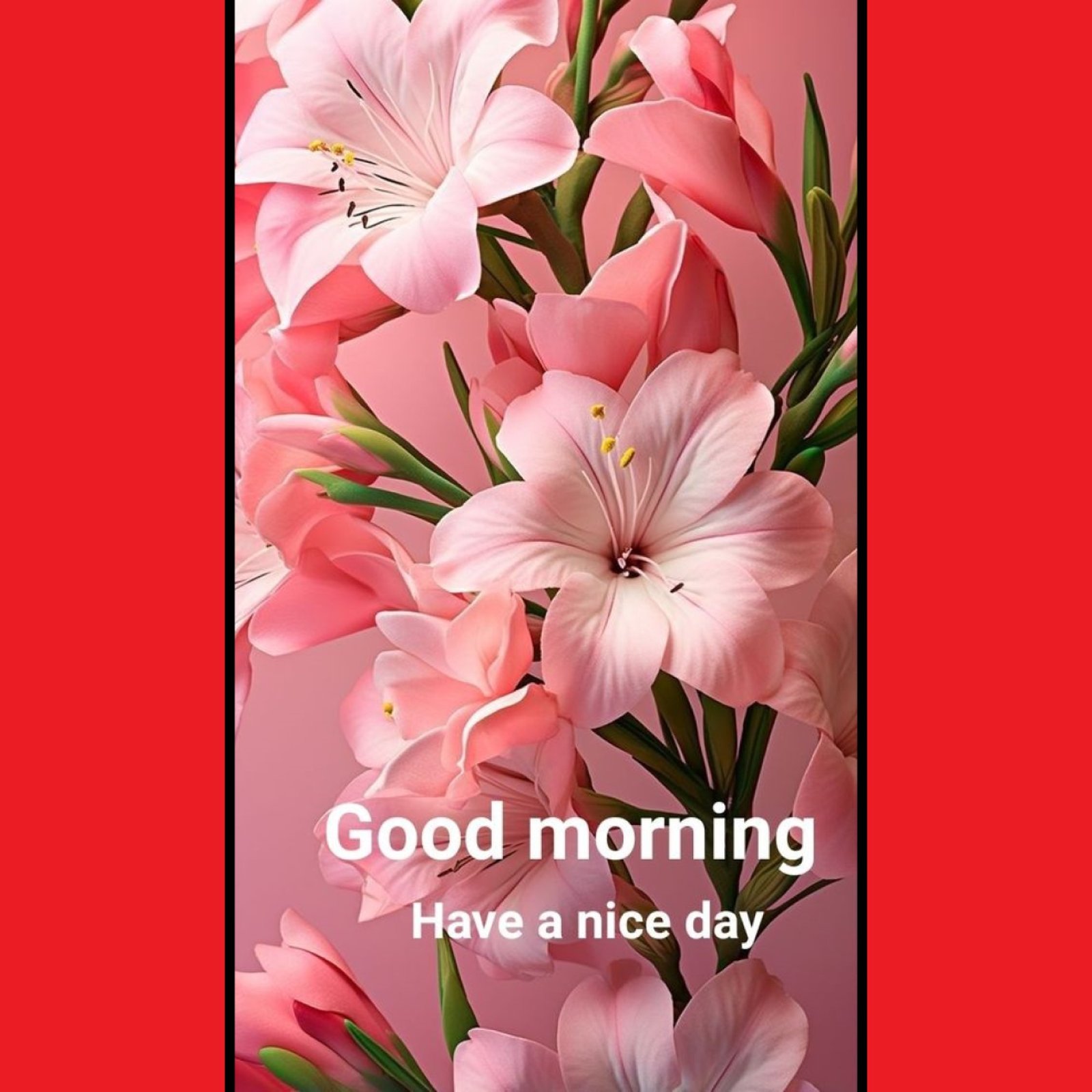 New Style Good Morning Lily Flowers Quotes 2024 Images Whatsapp Sign No Watermark