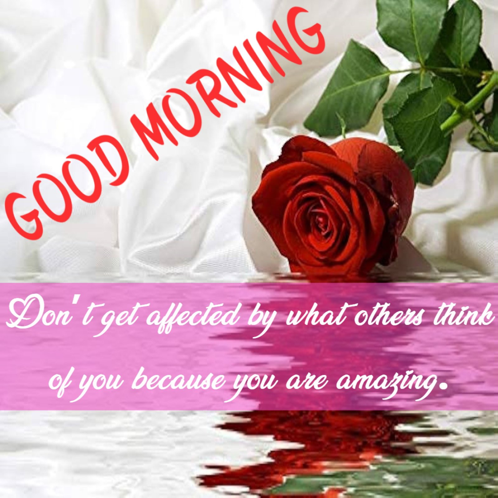 New Style Good Morning Red Roses Quotes 2024 Images Whatsapp Logo Free Instagram