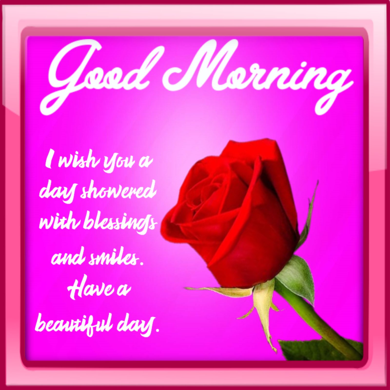 New Style Good Morning Red Roses Quotes 2024 Images Whatsapp Unique Ancient