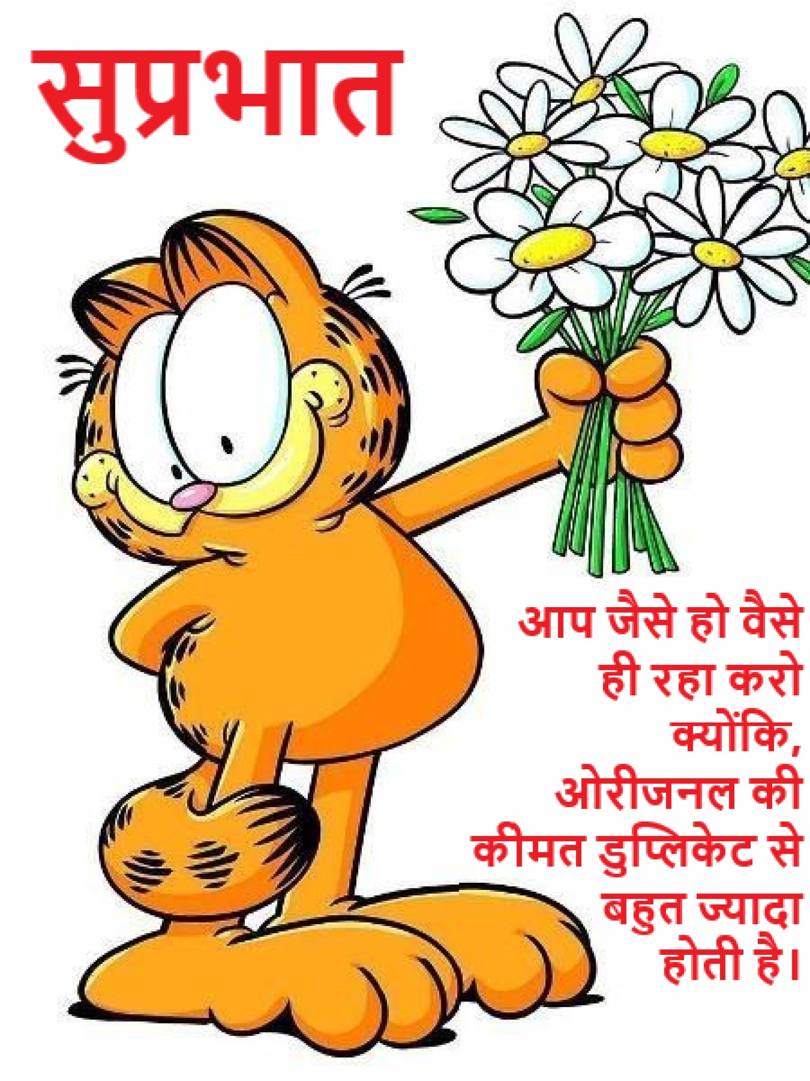 New Style Good Morning High Quality Garfield Cartoon Quotes 2024 Images Whatsapp Elegant Eye-Catching