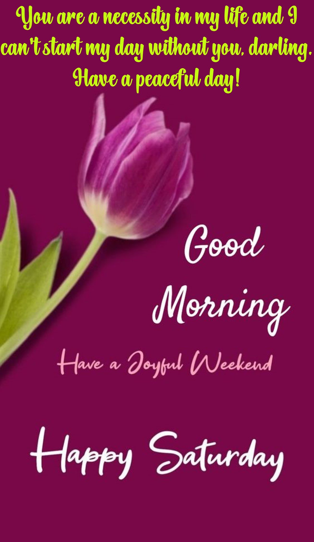 New Style Good Morning High Quality Happy Weekend Saturday Quotes 2024 Images Whatsapp Different Background