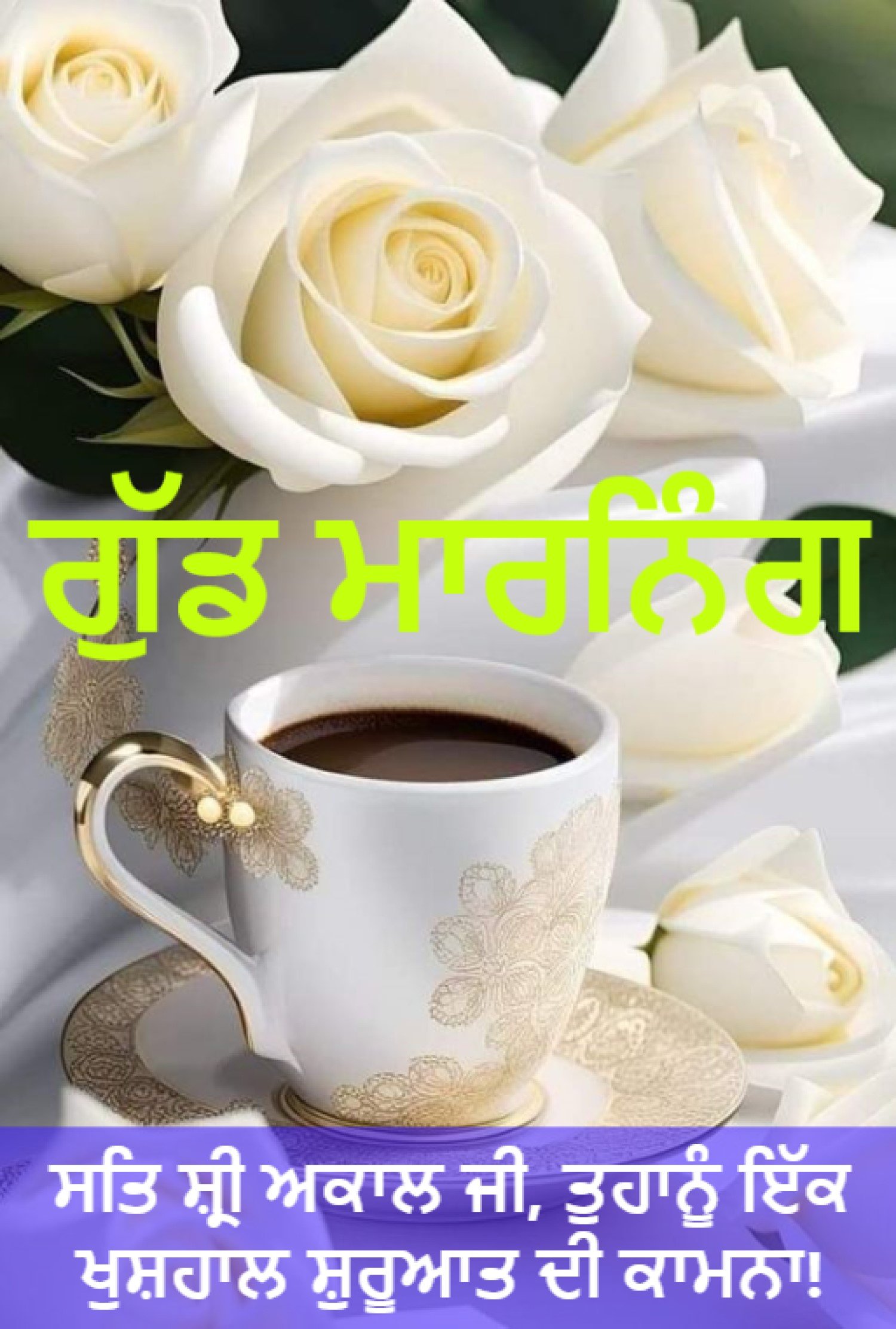 New Style Good Morning High Quality Roses (Gulaab) Flowers Quotes 2024 Images Whatsapp Big Foto